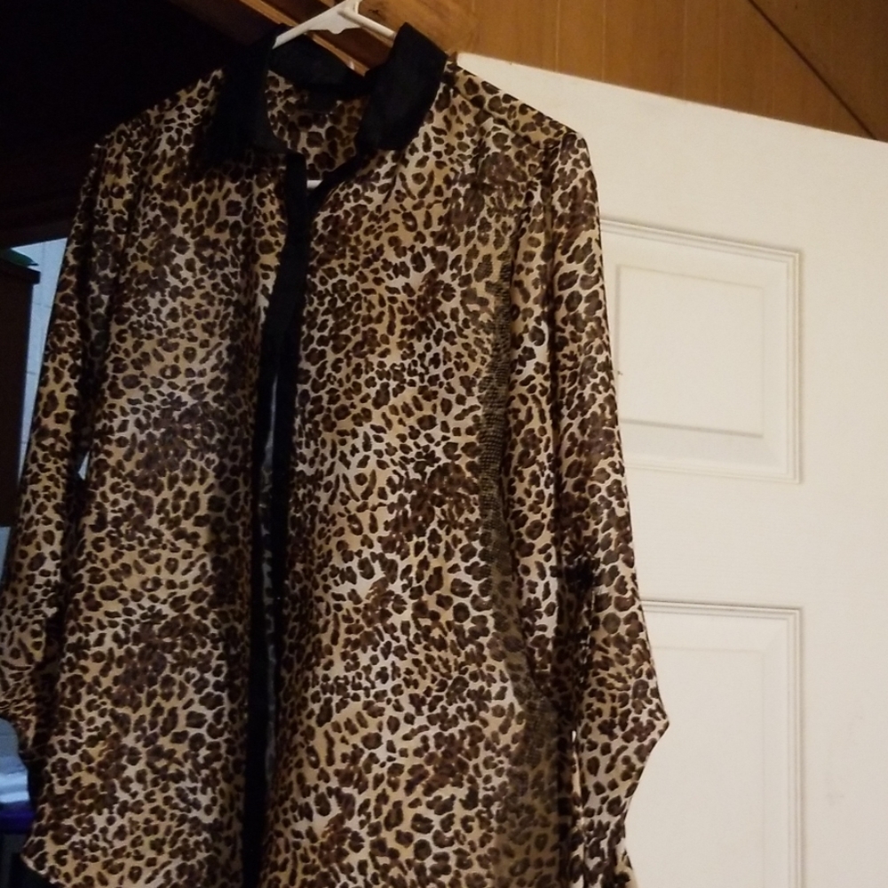 Collared button down